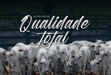 LEILÃO VIRTUAL QUALIDADE TOTAL